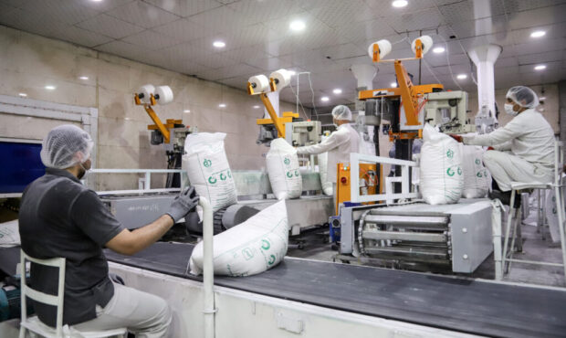 پیش‌بینی افزایش ۵۰ درصدی تولید شکر در خوزستان