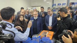 تولید انبوه زنبور تلنموس در نیشکر؛ گامی بلند برای حفاظت از محیط‌ زیست