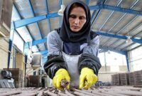همه چیز درباره سایر سطوح مزدی کارگران همه چیز درباره سایر سطوح مزدی کارگران