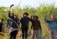 درخواست کارگران فصلی مجتمع هفت تپه برای عقد قرارداد دائم درخواست کارگران فصلی مجتمع هفت تپه برای عقد قرارداد دائم
