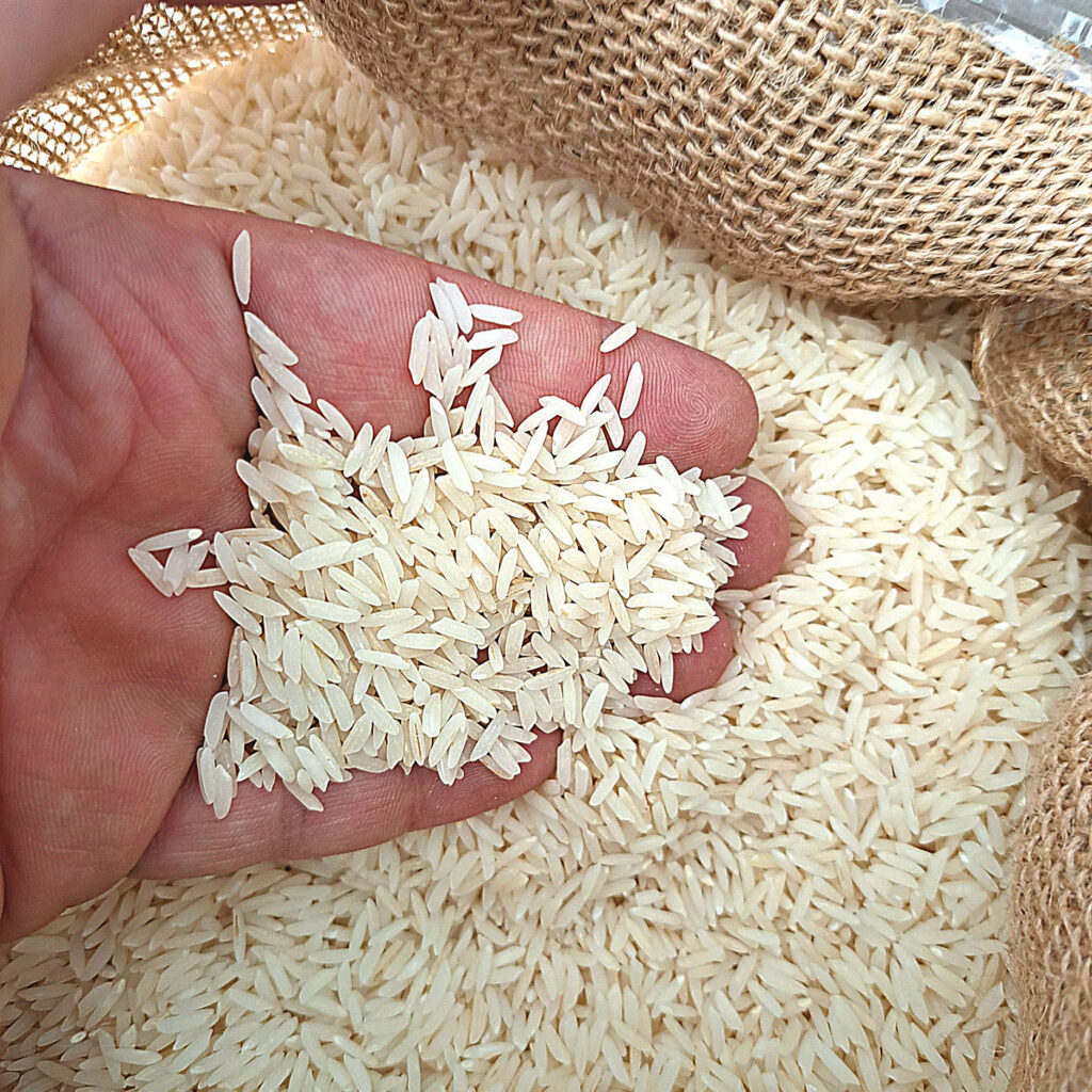 لیست قیمت انواع برنج ایرانی در بازار ۱۵ آبان ۱۴۰۴