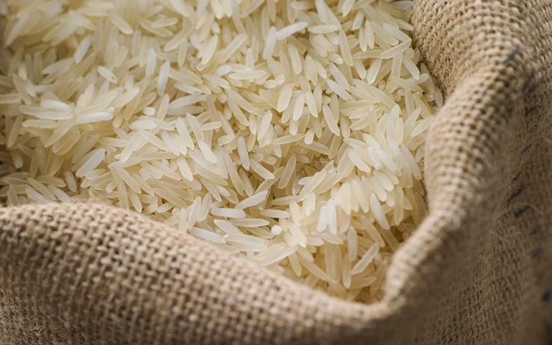 سیل برنج پاکستانی در راه بازار / قیمت برنج هندی سقوط کرد