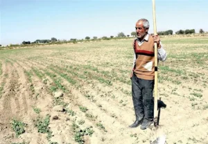 یک بازنشسته: فقط ۲ میلیون حقوق بازنشستگی می‌گیرم