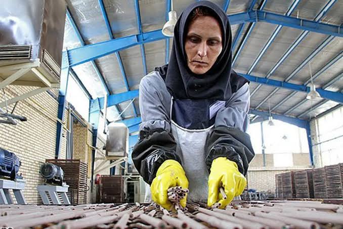 قراردادهای موقت؛ زخمی بر پیکر خانواده‌های کارگری