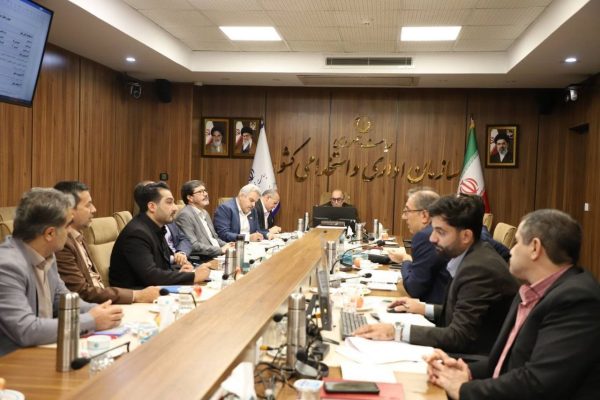 خبر مهم برای نیروهای شرکتی؛ چه کسانی مشمول مصوبه جدید دولت شدند؟